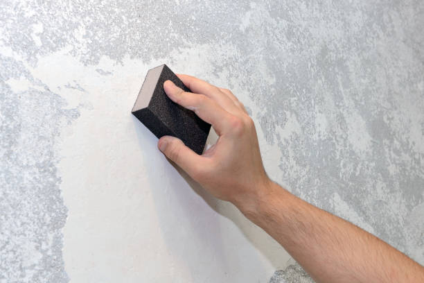 Best Residential Mold Inspection & Testing  in Frankfort, IN