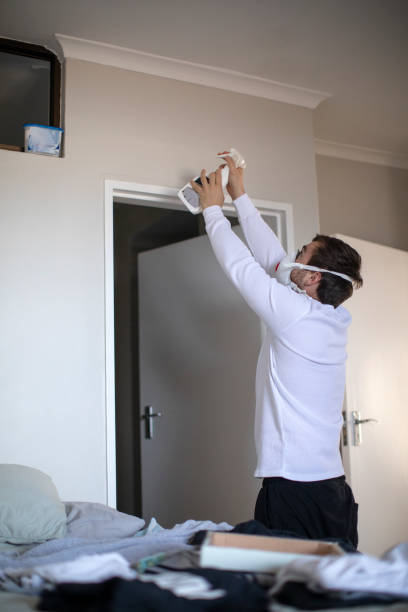 Best Mold Documentation for Insurance Claims  in Frankfort, IN