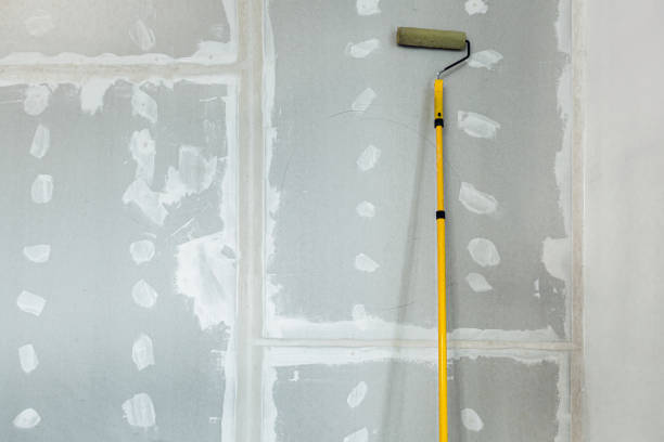 Best Mold Prevention Services  in Frankfort, IN