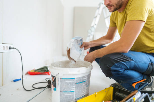 Reliable Frankfort, IN Mold Removal Solutions