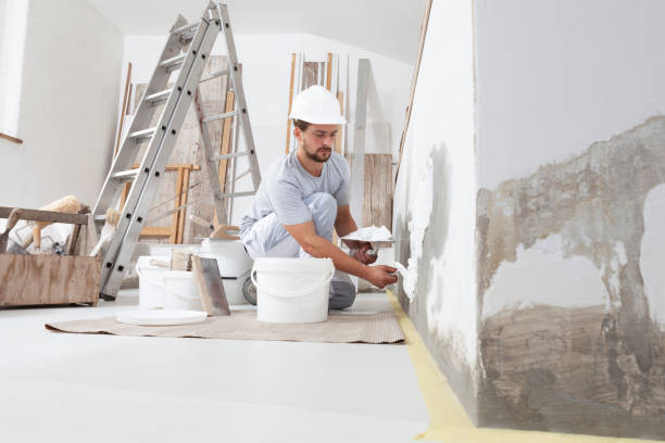 Trusted Frankfort, IN Mold Removal Experts